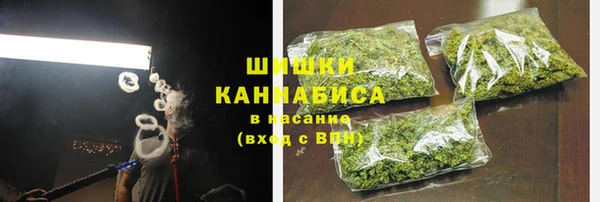 гидропоника Белокуриха