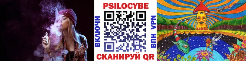 Псилоцибиновые грибы Cubensis  где найти   Воскресенск 